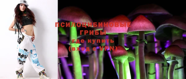 Альфа ПВП Алексин