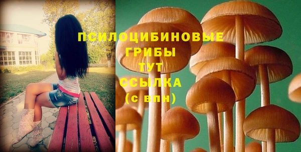 PSILOCYBIN Алзамай