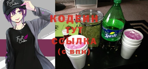 PSILOCYBIN Алзамай