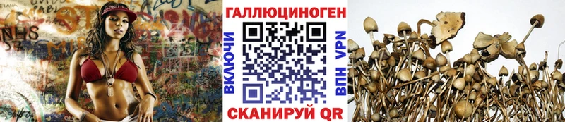 Псилоцибиновые грибы GOLDEN TEACHER  Лаишево 